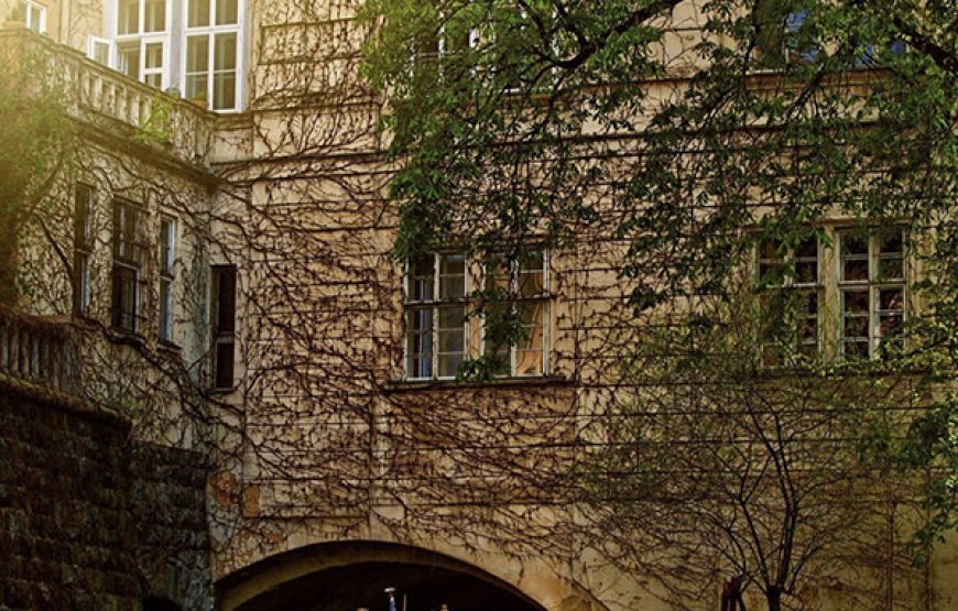 Cruises to devil’s channel